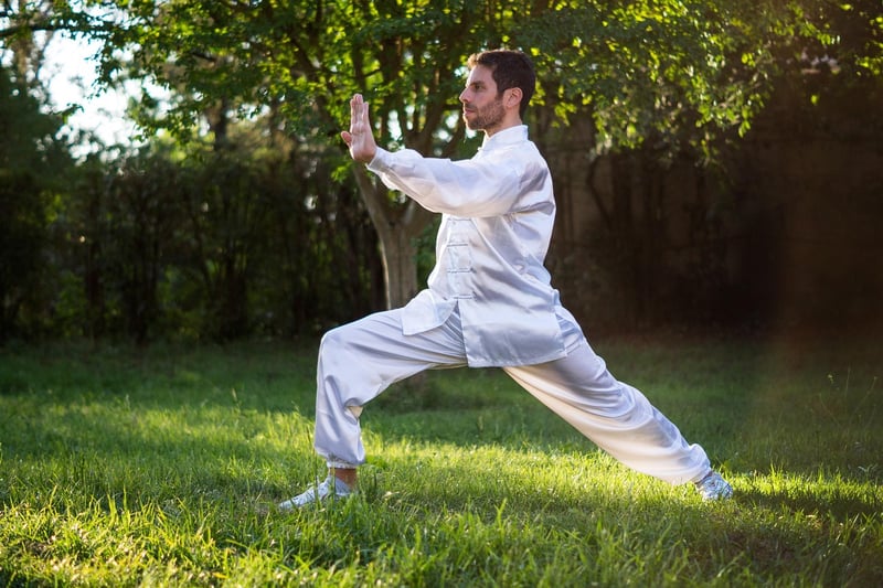 Sun Style Tai Chi Image 2